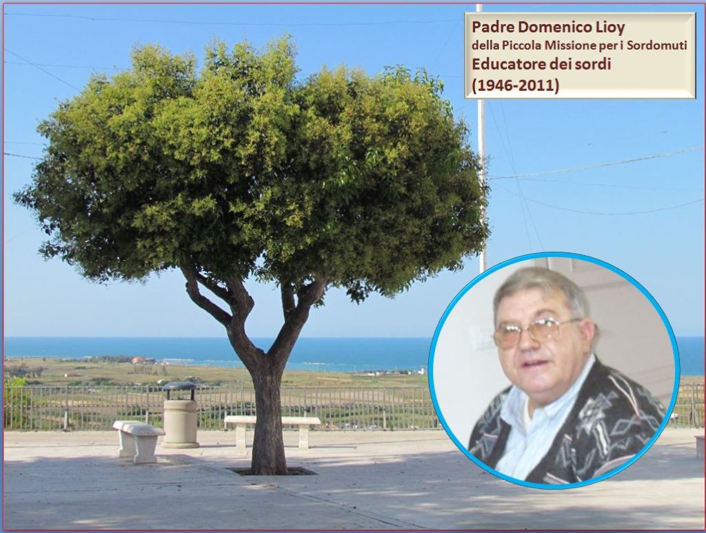 Domenico Lioy 1946-2011