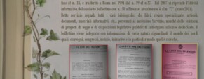 Anno XI – Dal 1° gennaio al 30 aprile 1998 – n.29.