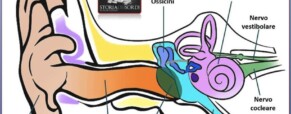 Sviluppo del sistema uditivo del bambino, il pediatra deve valutare la presenza di fattori di rischio