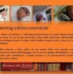 Doposcuola e screening audiologico neonatale, cresce l’impegno dell’Asp Città di Siena per l’educazione e l’assistenza ai sordi (Newsletter della Storia dei Sordi n. 420 del 6 febbraio 2008)
