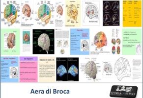 Se l’orecchio sente bene e’ tutto il cervello a “lavorare” meglio